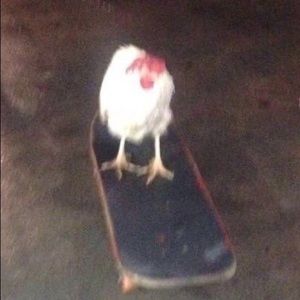 Meet your Posher, Jessica